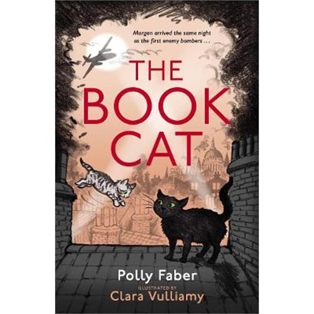 The Book Cat (Paperback) - Polly Faber
